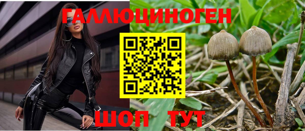 Галлюциногенные грибы мухоморы Кимовск