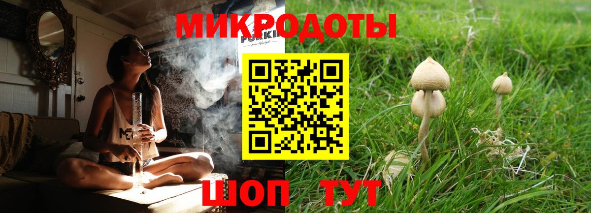 Кимовск  Псилоцибиновые грибы MAGIC MUSHROOMS  где продают наркотики  Вход с VPN 